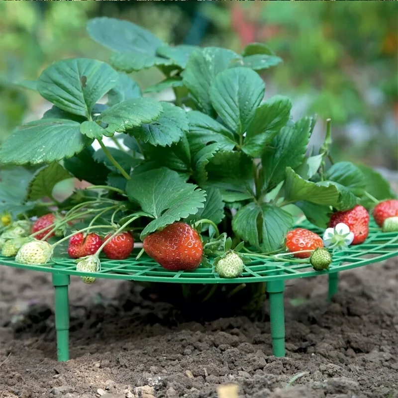 New Product Explosion Green Strawberry Planting Rack Sturdy Stands Versatile Plant for Berries and Small Plants Plant Stand