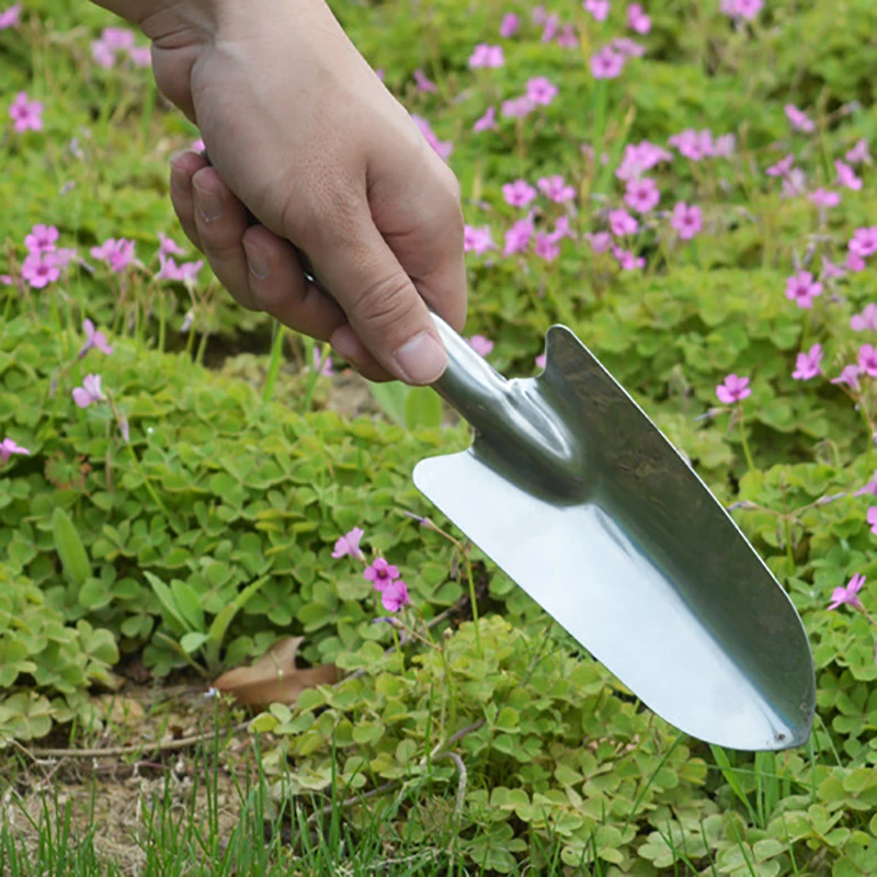 Stainless steel small spade flower planting garden tool potted vegetable planting shovel shovel gardening digging meat sea