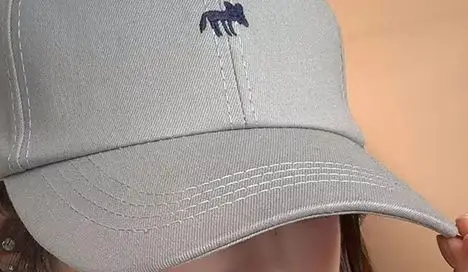 

1 PC Casual Cute Embroidered Little Foxes Baseball Cap Hat Women Men Fashion Outdoor Sunscreen Hat Cap