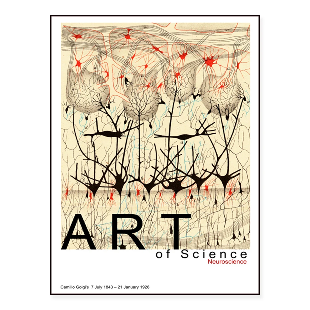 Abstract art prints, avant-garde art, scientific neuroscience art, Camillo Gorky art posters
