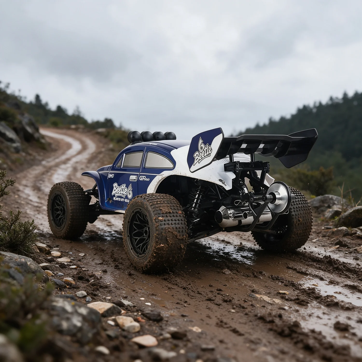 ROFUN 1/6 Scale Remote Control Car Model Metal Differential Rear Wheel Drive 8000 Rpm Single Cylinder Two Stroke Engine