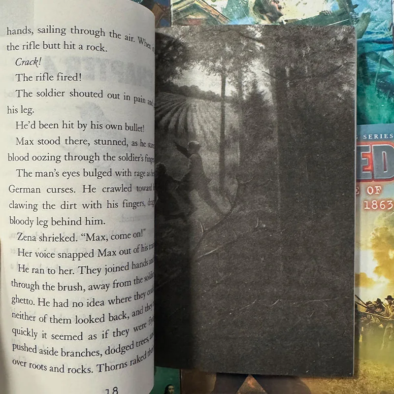 22 مجلدًا/مجموعة لقد نجوت من كتب قراءة اللغة الإنجليزية، تاريخ الكوارث، رواية البقاء، دليل الهروب، كتب فصول العلوم للأطفال #2