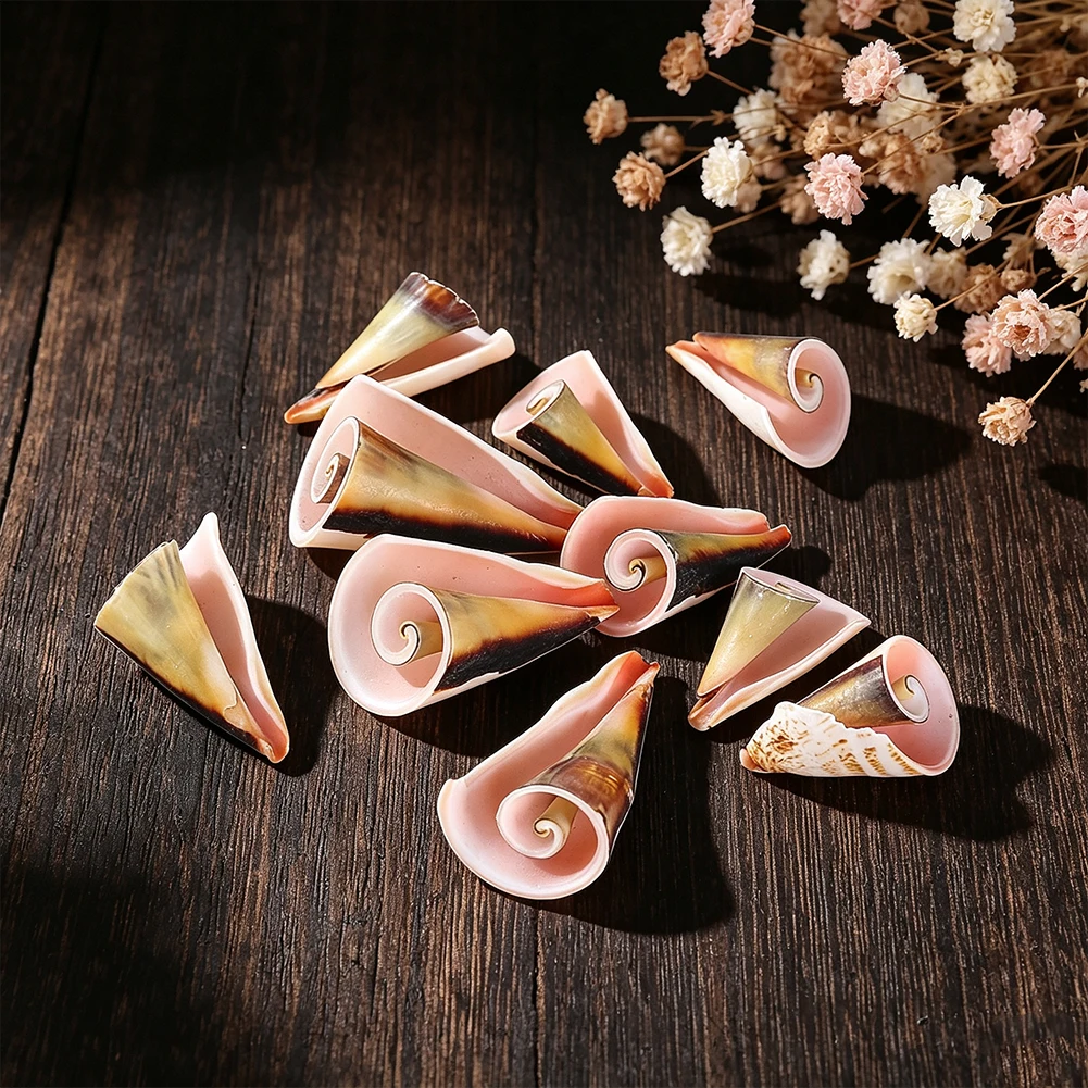 5pcs Natural Cone Seashell Beads Cut Spiral Conch Shell Charms for DIY Boho Beach Jewelry Necklace Earrings Making 28-40mm