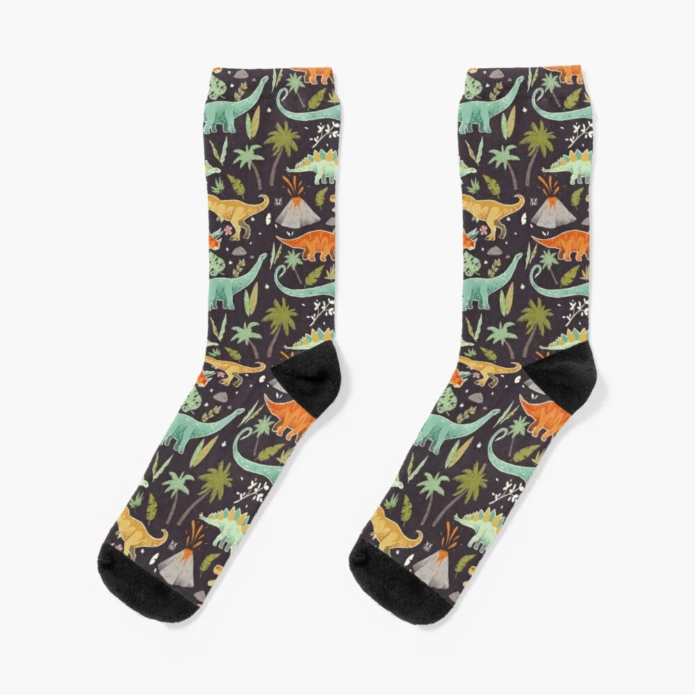 

A colorful dinosaur pattern! Socks Sheer Socks Men Compression Socks Men Christmas Gift For Men