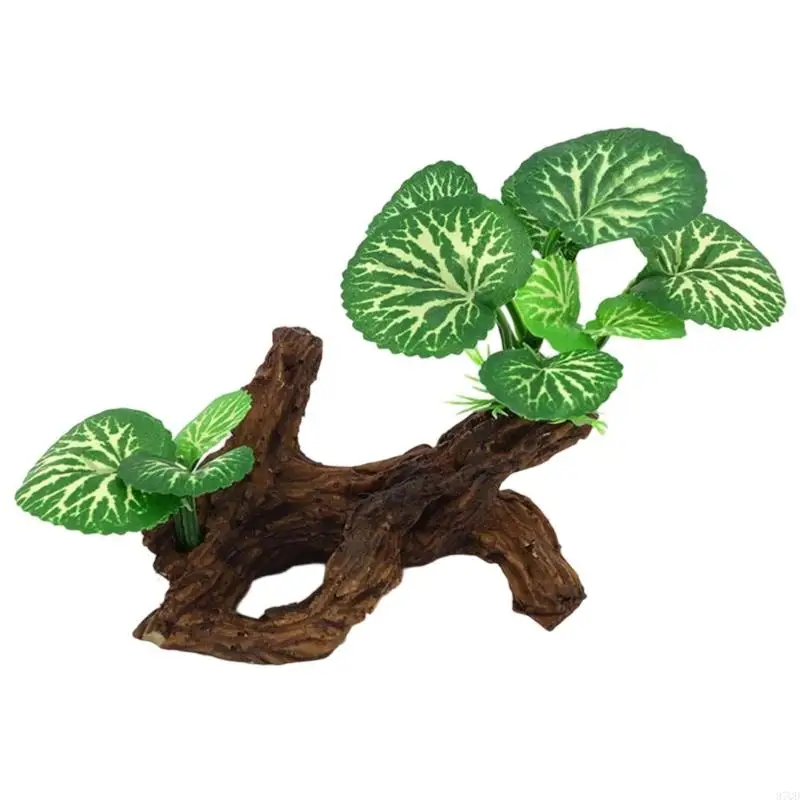 97QD ديكور فريد من نوعه لجذور شجرة الراتنج لمأوى الأسماك والروبيان #5