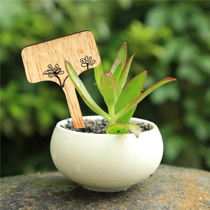 T-Type Wooded Plant Labels Eco-Friendly Garden Bamboo Tags For Seed Potted Herbs Flowers Vegetables Waterproof Signs  2023