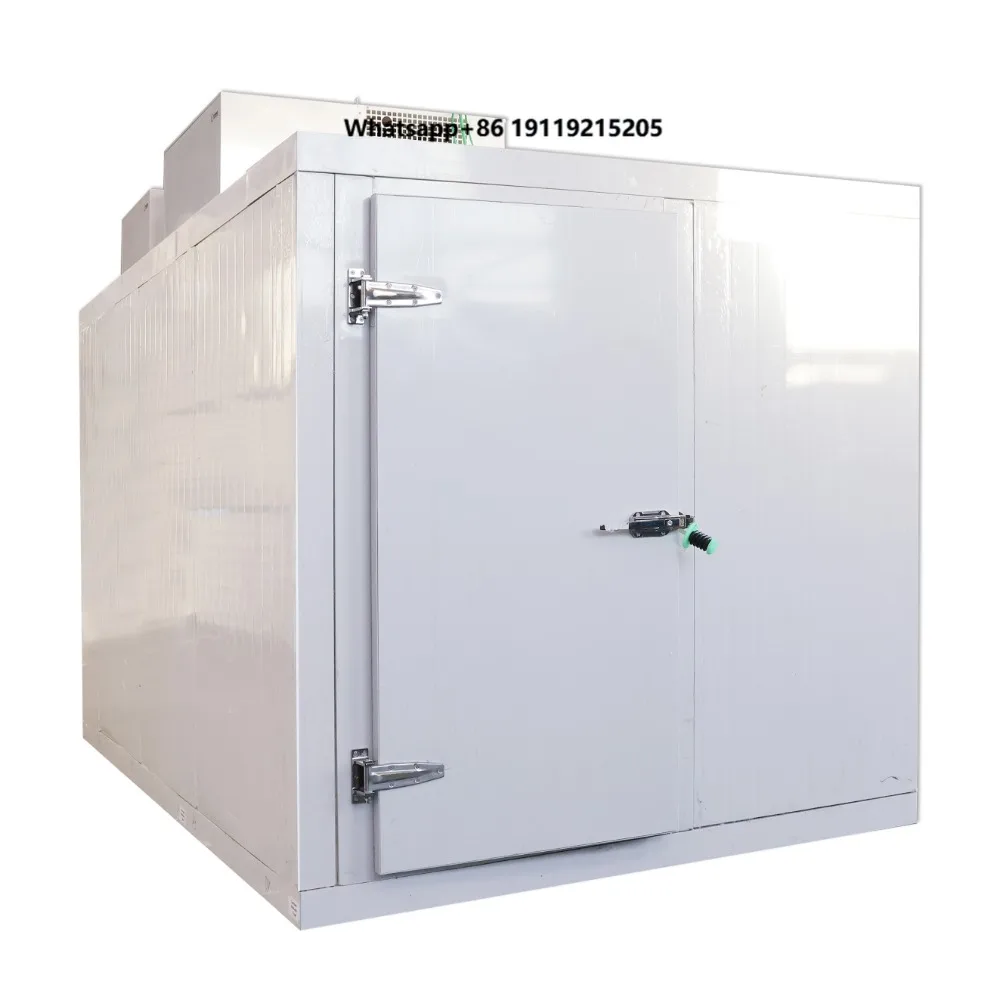 Small medium large commercial refrigeration equipment Copeland engine motor for fresh meat-18 low temperature storage for 1 year