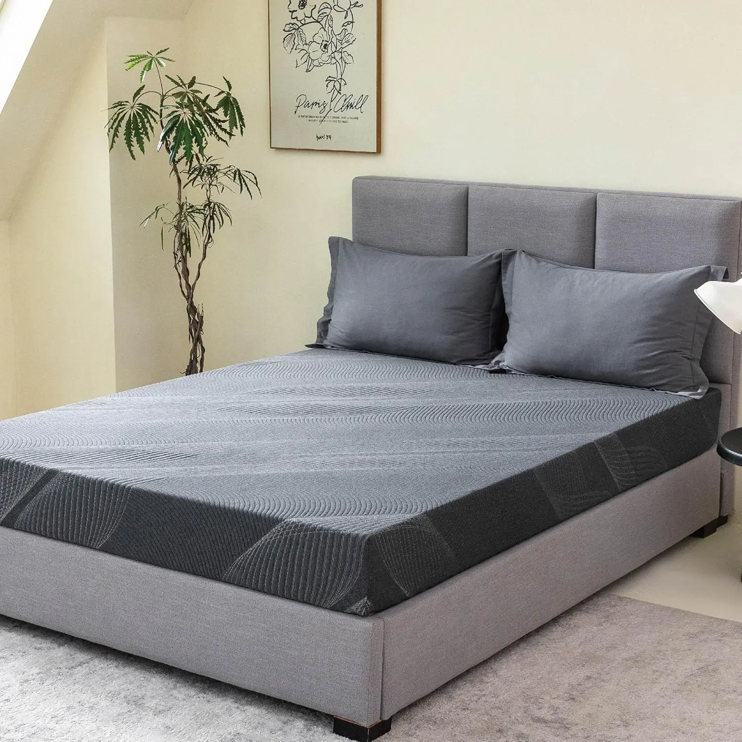 Matelas en mousse à mémoire de forme de charbon de bois, 8 pouces, dans une boîte, matelas en gel froid sans violet, taille jumelle