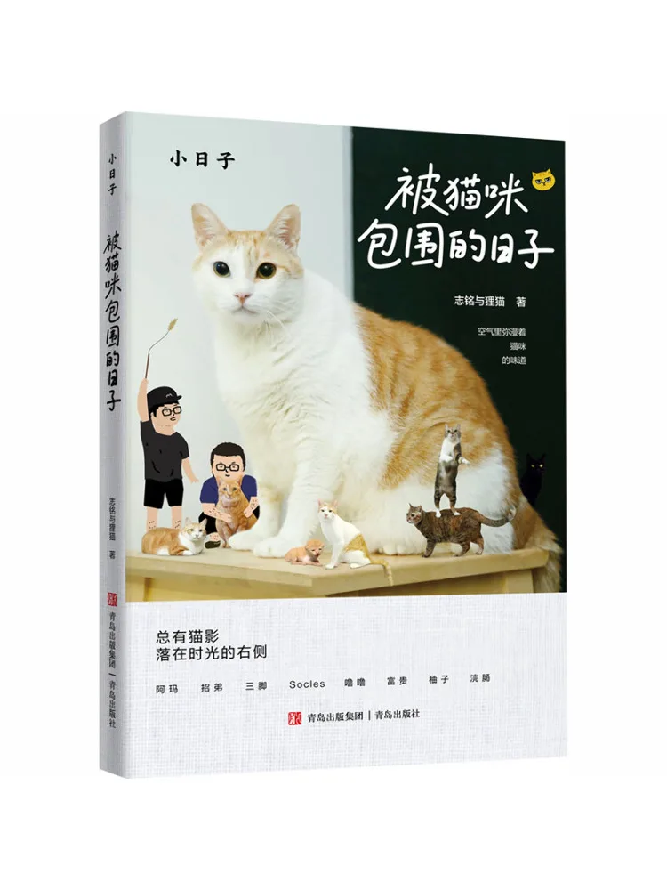 

Book-Winshare Daily Life Days Surrounded By Cats