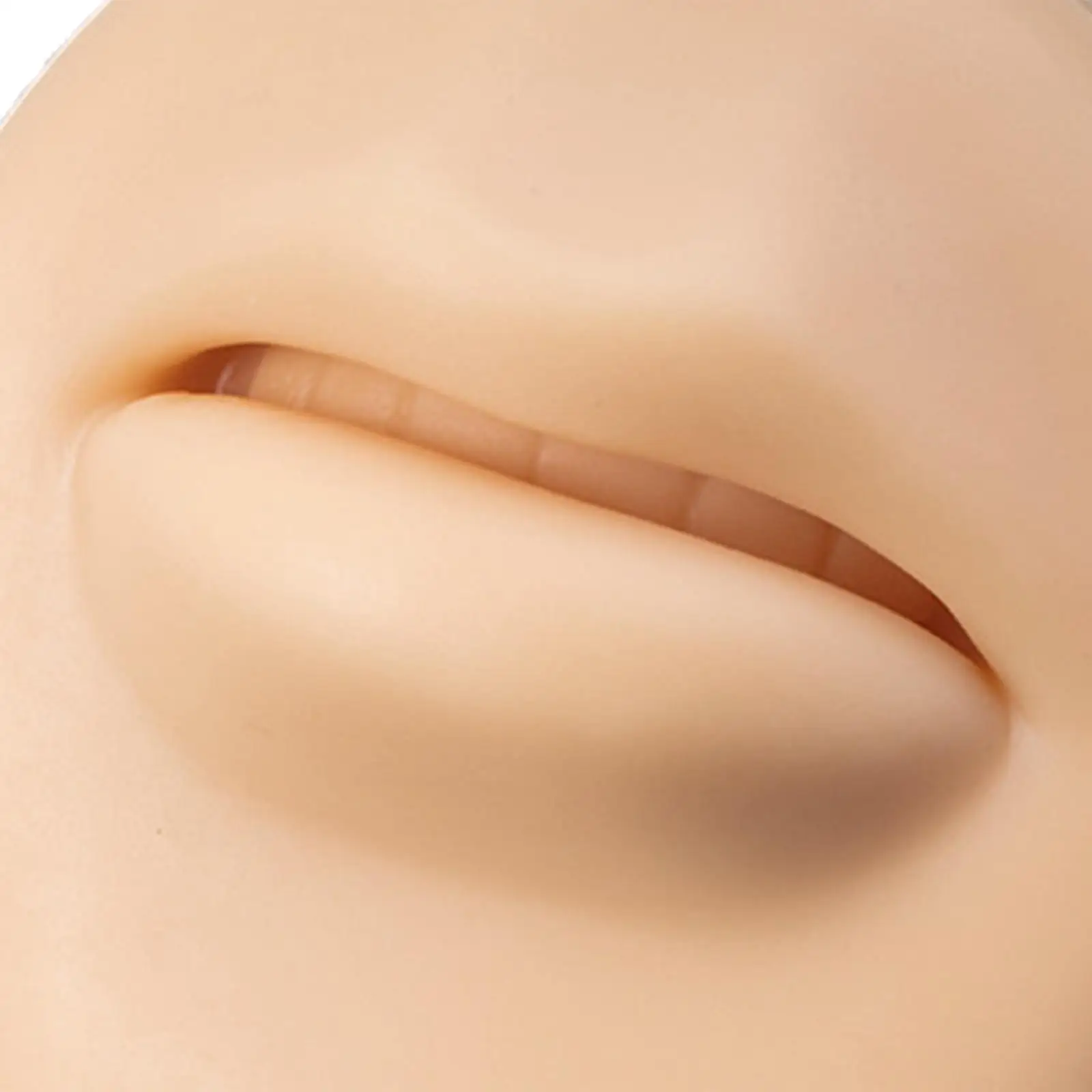 Modelo de boca flexible de silicona artificial Modelo de parte facial delicada para principiantes de ejercicios
