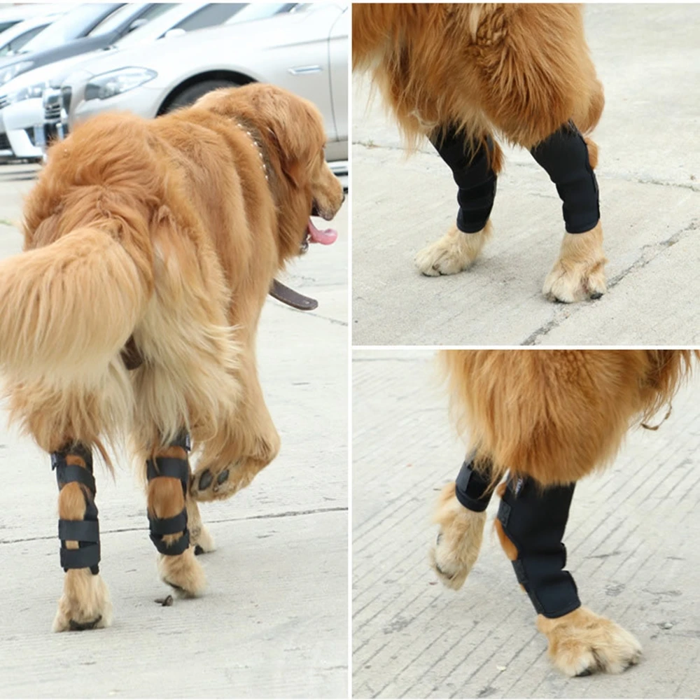 Breathable Dog Legs Protector Dog Support Brace Wrap Protector Dog Supplies Pet Knee Pads Puppy  Kneepad Dog Wrist Guard