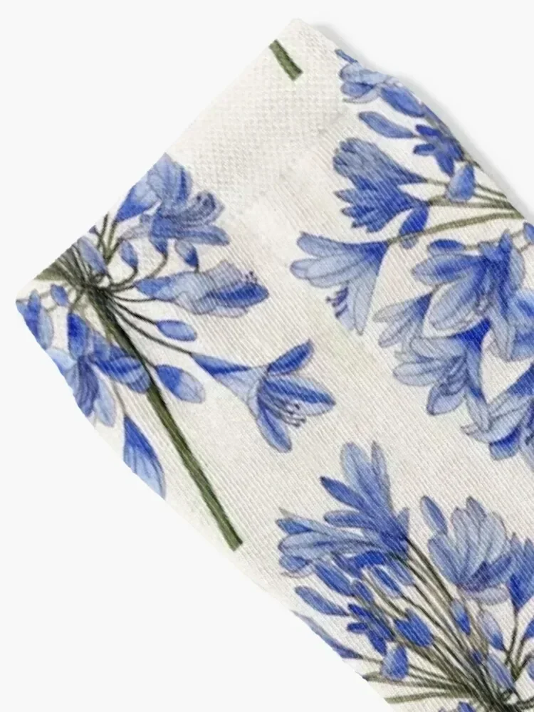 Agapanthus flower watercolour painting Socks cute sheer Stockings man bright garter Socks Man Women's