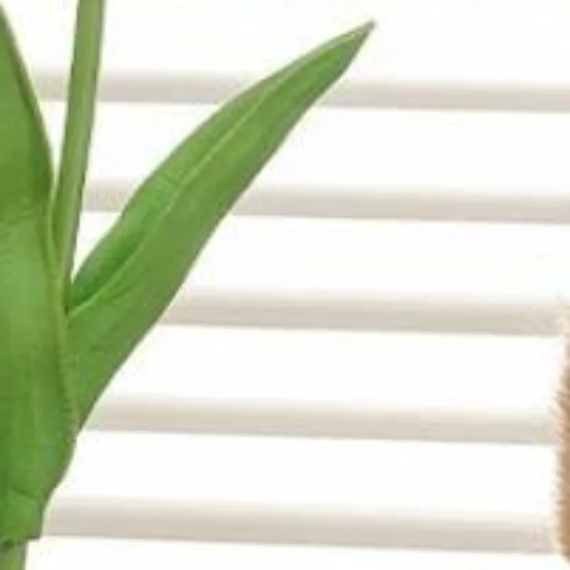 1 Set Vase Hydroponic Test Tube Shape With Wooden Stand Clear Flower Plants Vase Table Propagation Vase Home Desktop Decoration