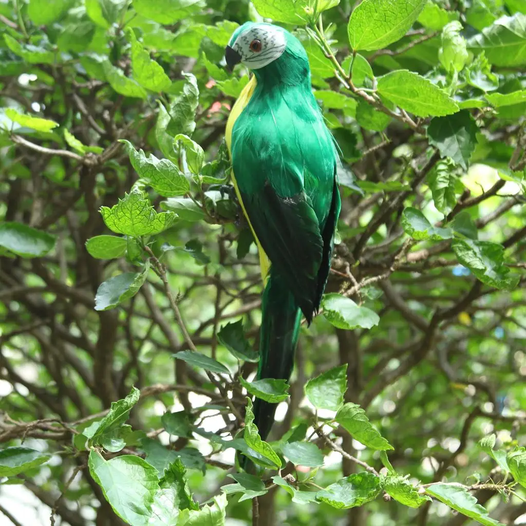 Vivid Animal Bird Statue Realistic Parrot Ornament Artificial Feathered Animal for Garden Decor and Teaching Prop