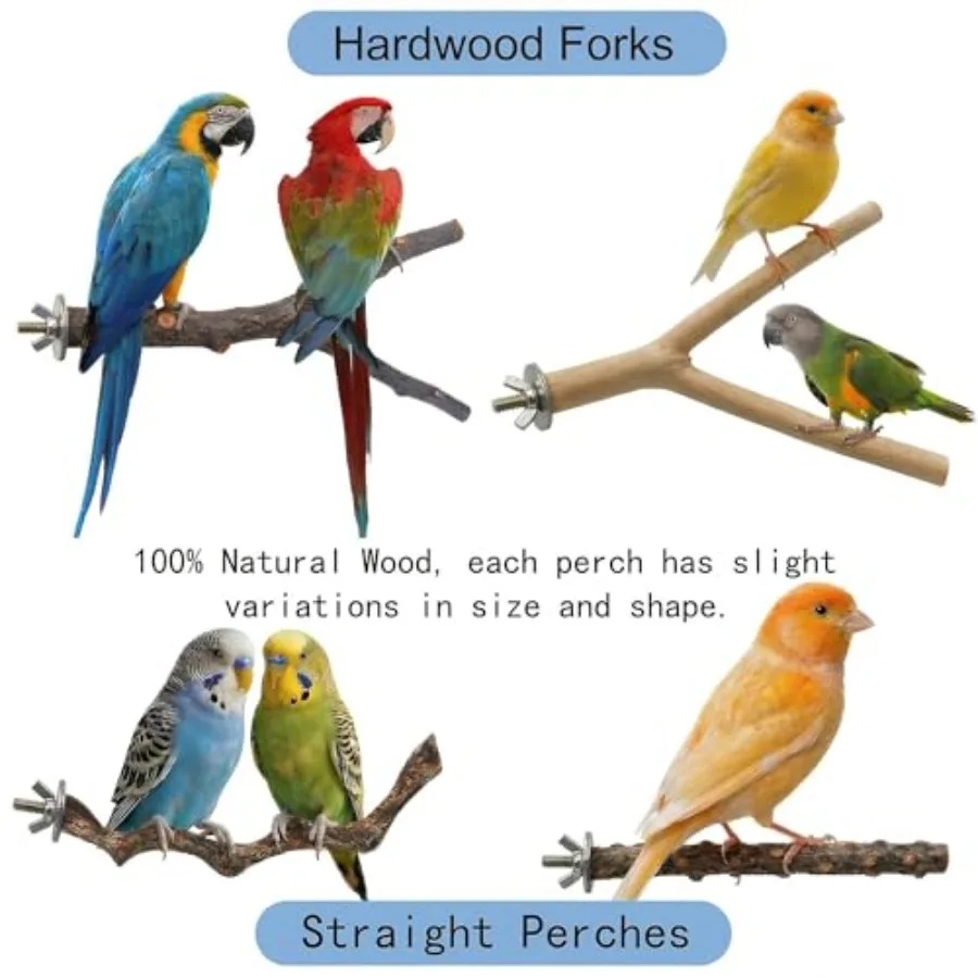 8PCS natural wood bird perches - Health & Wellness U Of T recensie en prijs