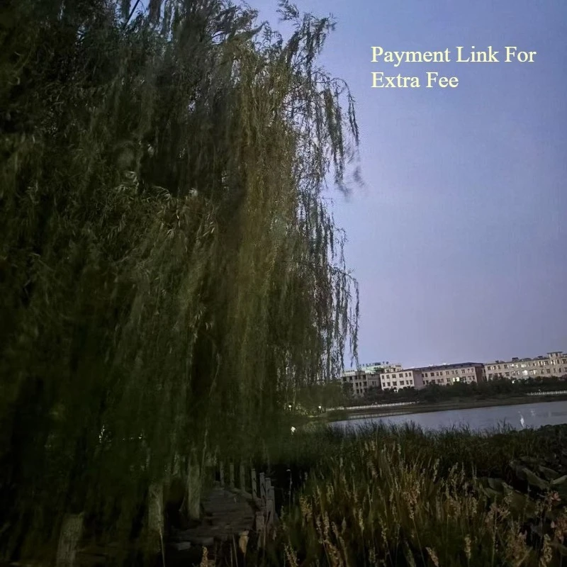 

Payment link for extra fee