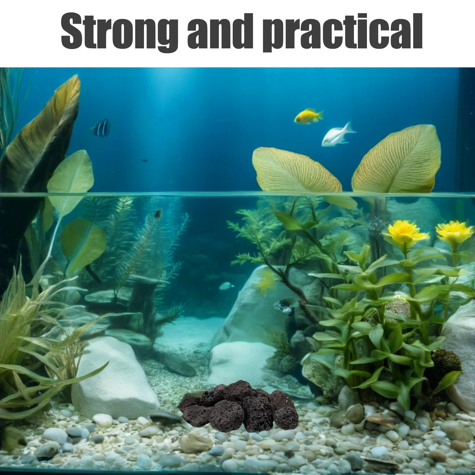 

1Pack Natural Volcanic Rock Small Lava Stones Fish Tank Decoration Planter Decorative Rocks for Potted Plants Volcanic Stone