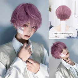 8Inch Purple Pink Color Handsome Synthetic Wigs With Bang Short Straight Hair Wig For Man or Women Daily Cosplay Heat Resistant