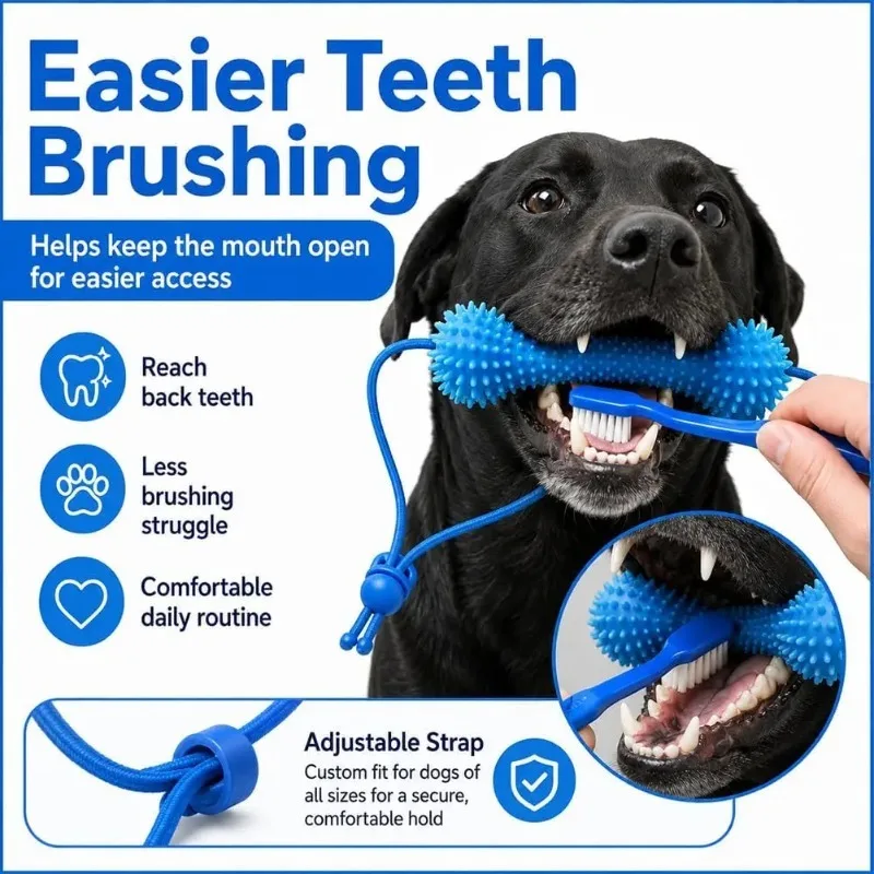 #43 Trending Rubber Dog Toys Right Now