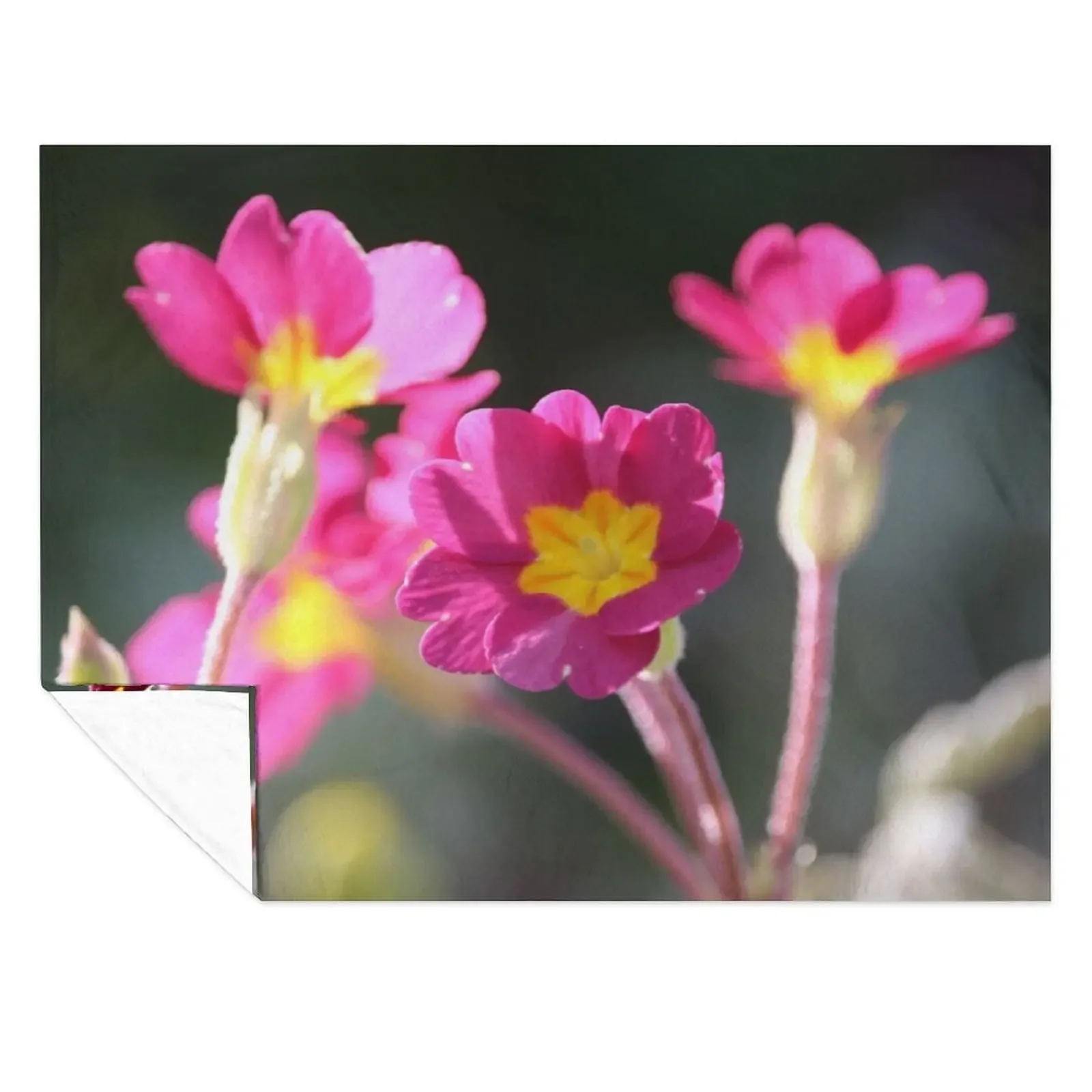 

Primrose Throw Blanket for winter christmas gifts Sofas Beautifuls Blankets