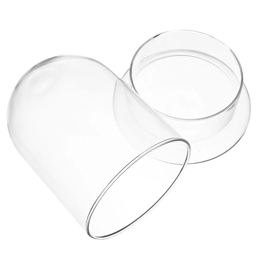 

Glass Terrarium for DIY Micro Landscape Ecological Bottle Clear Glass Dome Cloche Display Container for Plants Moss Arrangement