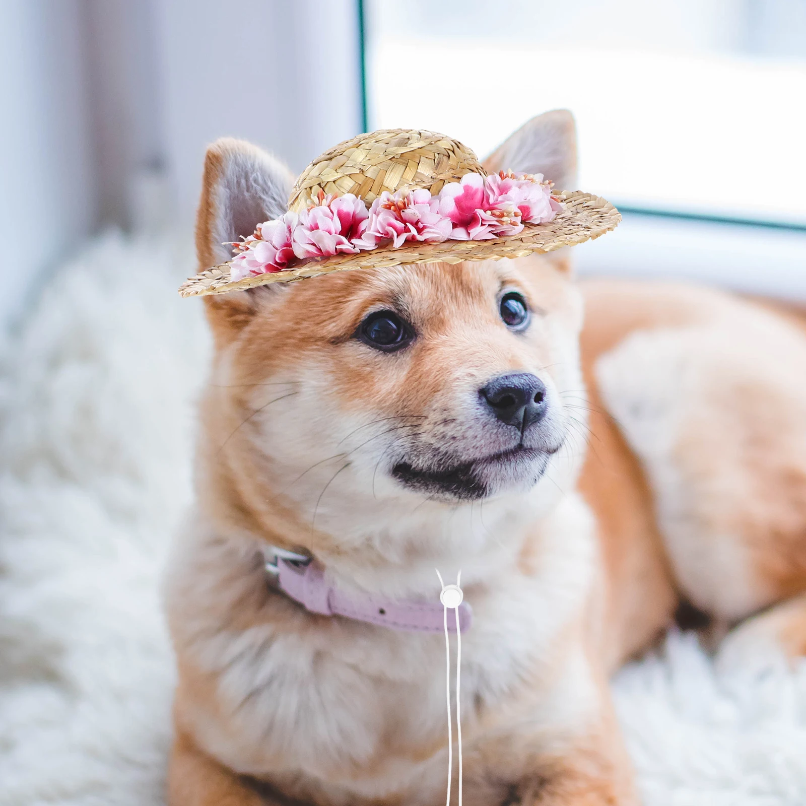 

Dog Straw Lightweight Safe Unique Stylish Sun Hat Party Photo Prop Adjustable Size Pet Dog Cat Summer Bucket Hat