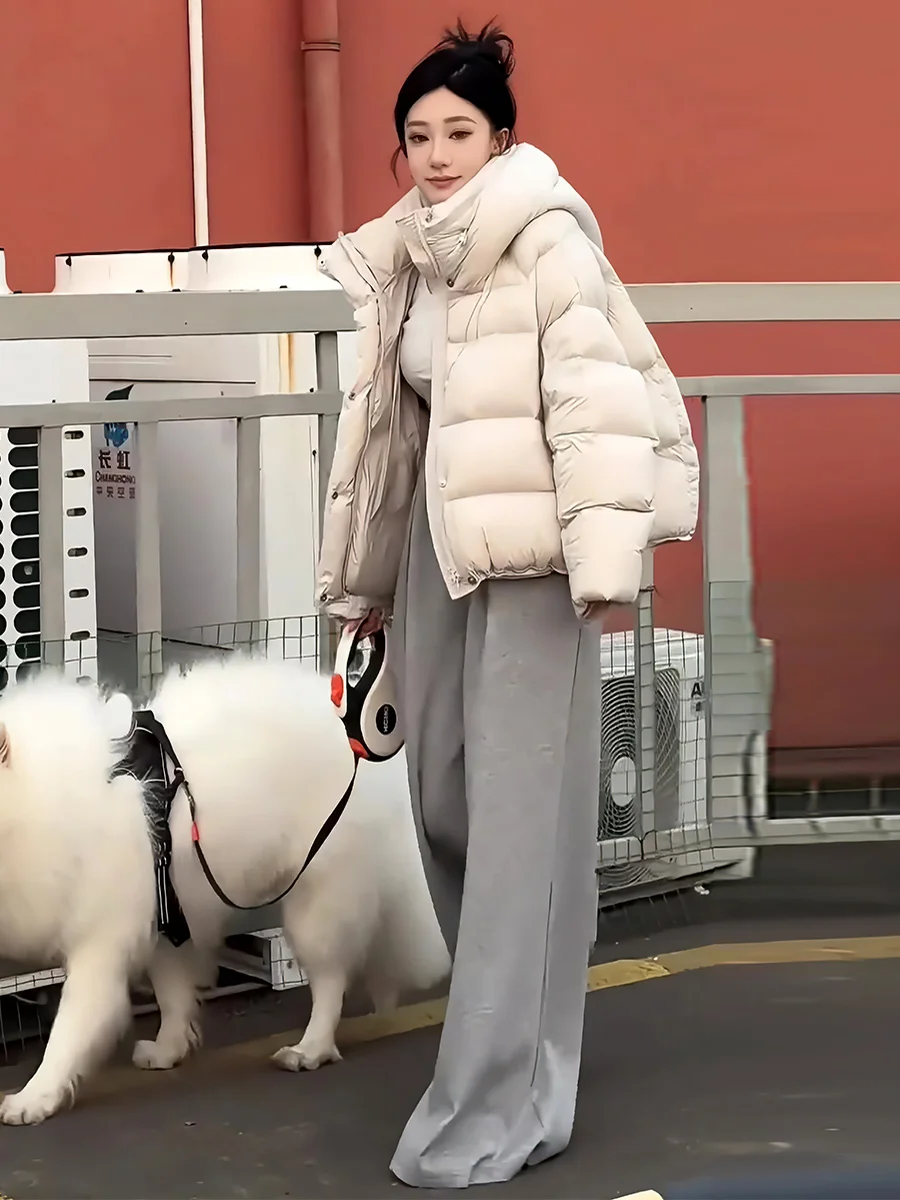 Giacca Invernale da Donna in Piumino Bianco, Calda e Trendy con Cappuccio, per il Pendolarismo, Senza Marchio Registrato