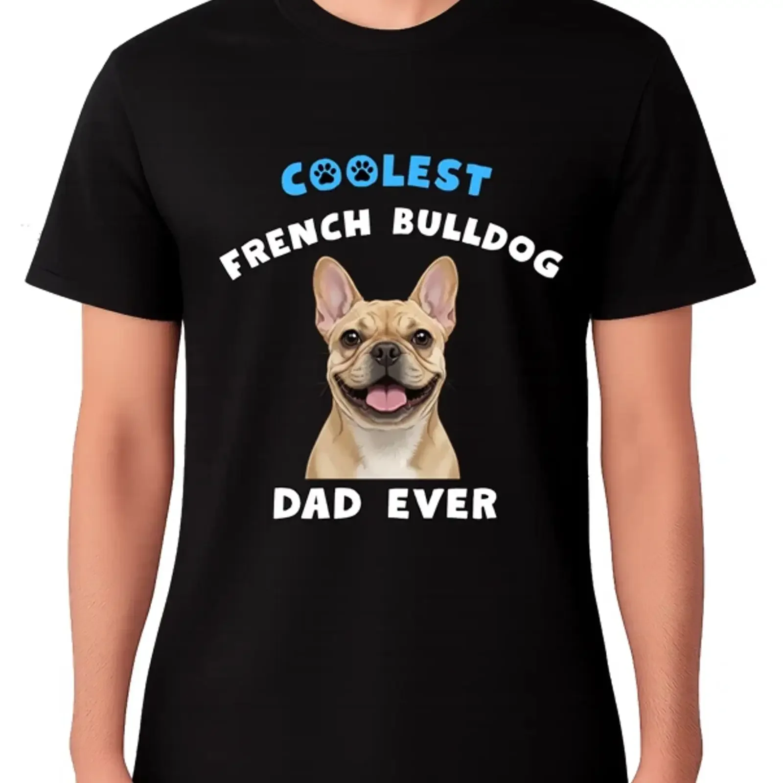T-Shirt Coolster Französische Bulldogge Papa aller Zeiten lustig Hundeliebhaber Geschenk Haustier Vater Vintage Washed Homme