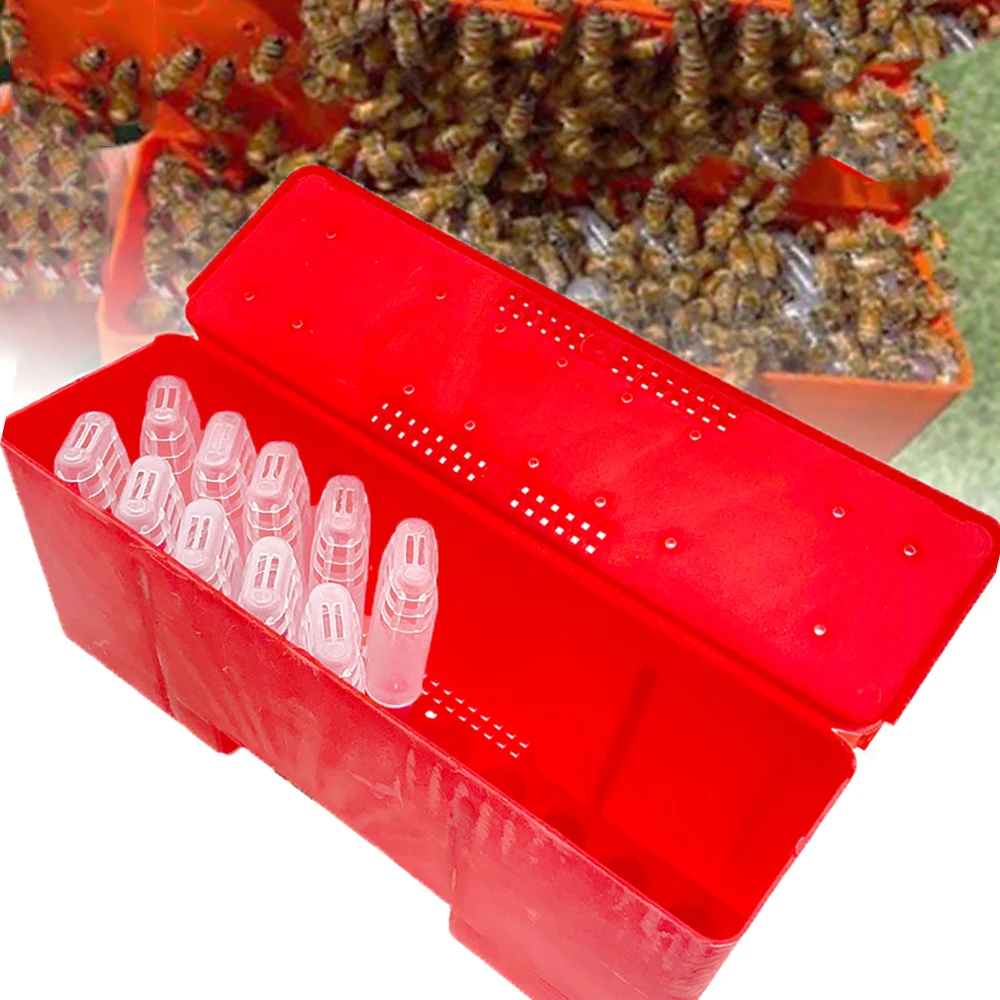 

1Set JZBZ Bee Battery Box And Queen Shipping Cage Protective Gear Breeding Kit Carrier Container Transoirt Beekeeping Rearing