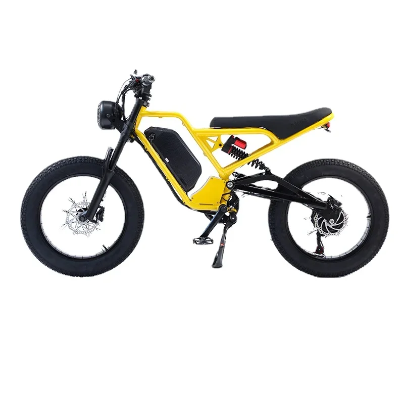 20 Inch Fat Tire Electric Mountain Off-road Motorcycle 750W/1500W High Power Motor Snow Assist Electric Bicycle