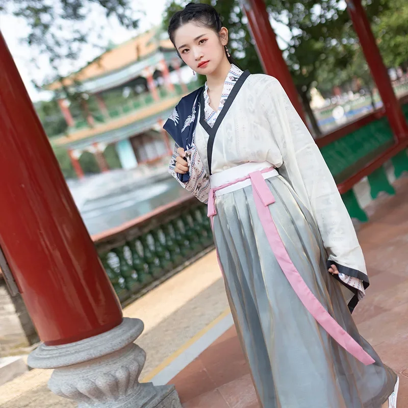 Original WeiJin Dynasty Big Sleeved Top Color Changing Skirt Crane Print Robe Hanfu Suit Women Improve Chinese Cosplay Costumes