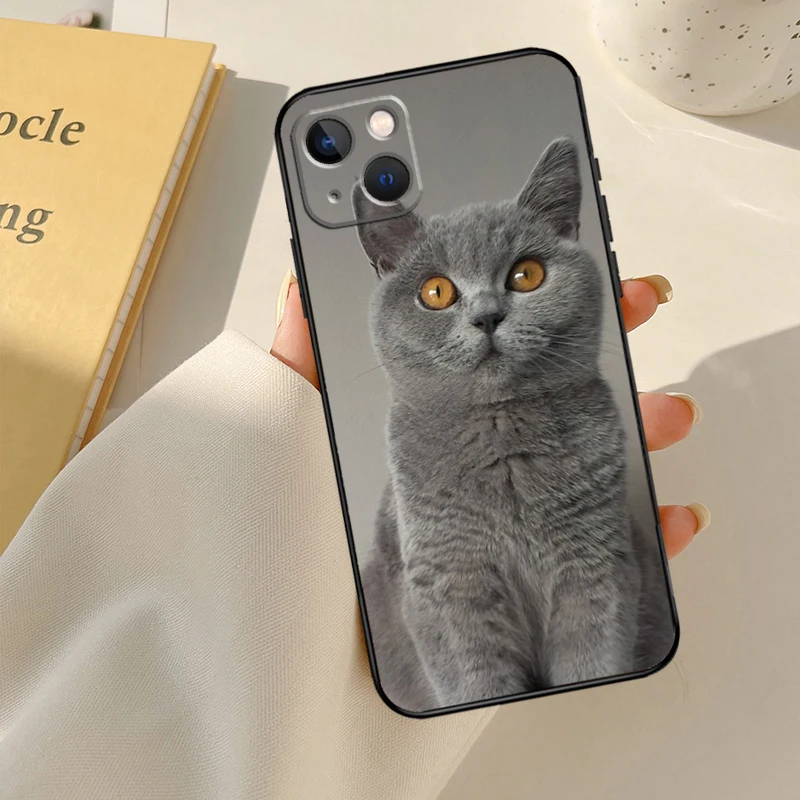 British Shorthair Cat Cover For iPhone 13 14 15 16 Pro Max 12 Mini 11 14 15 16 Pro Max Plus X XR XS Max Phone Case