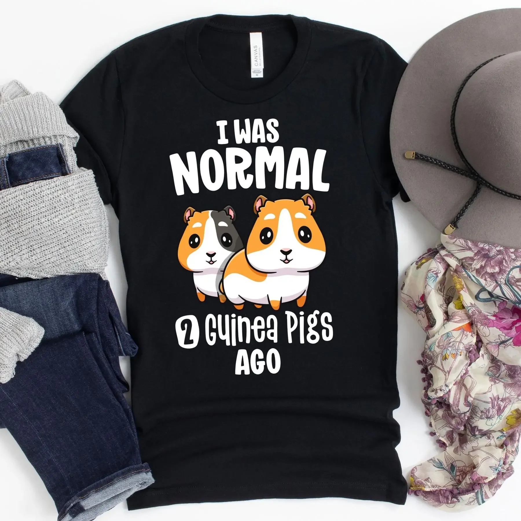 I Was Normal 2 Guin…