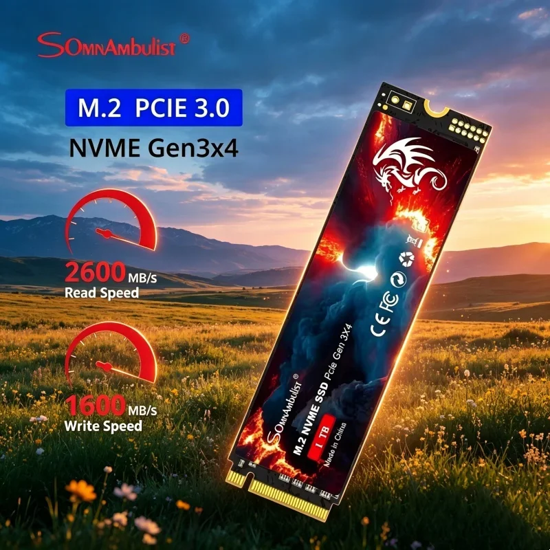 ssd-interne-prestige-somnambulist-m2-nvme-2280-pcie-30-128-go-256-go-512-go-1-to-structure-robuste-pour-ordinateur-portable