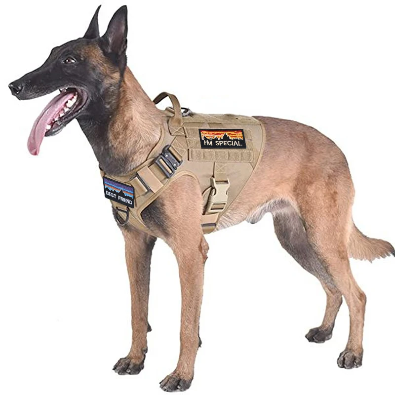 Imagem -02 - Arnês do Cão Tático e Conjunto de Trela Militar k9 Pastor Alemão para Grandes Cães Grandes Formação Acolchoado Colete Liberação Rápida