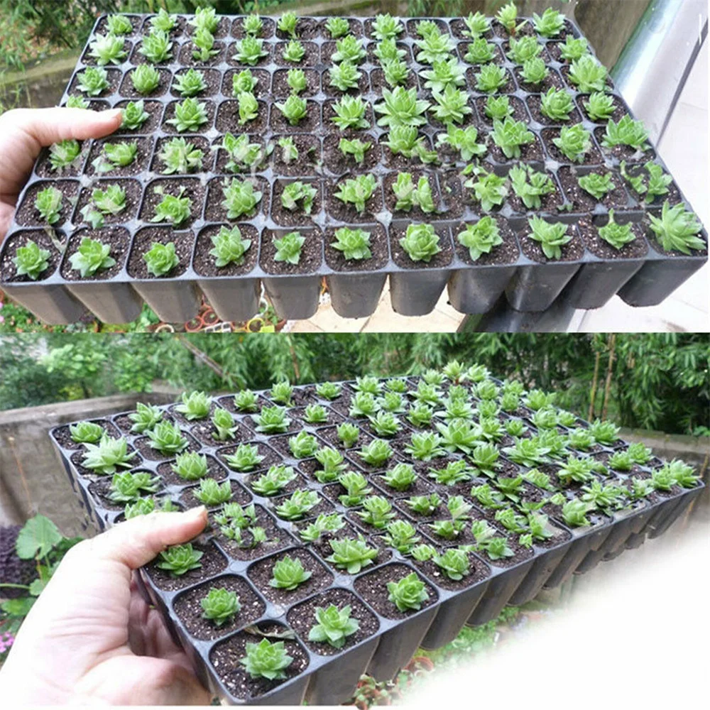 1 Pc Seedling Tray Starter Plug Planting Planter Container Plastic Seedling Starter Trays Nursery Grow Box Tray Plant Flower Pot