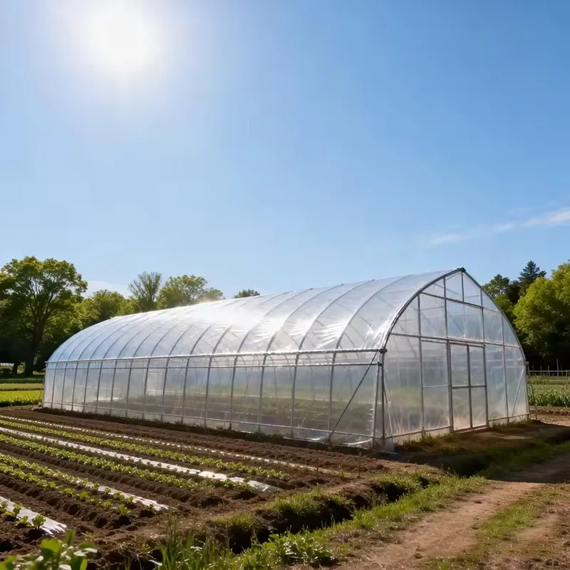 Large Single-Span Double Film Agricultural Tunnel Greenhouse Climate Control Vegetable Growing Serre Agricole Invernadero