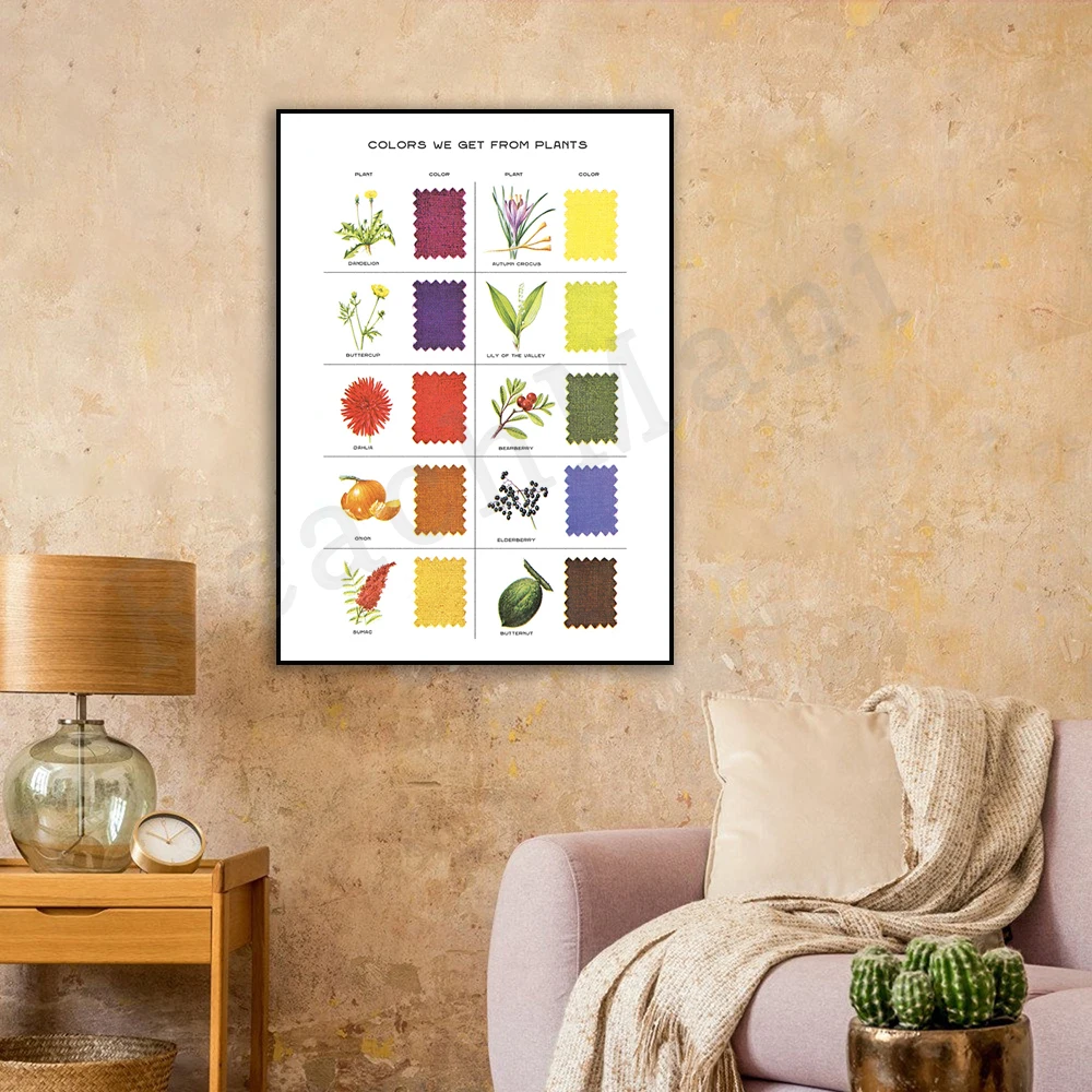 Natural Dye Color Chart Vintage Botanical Color Print Color Theory Plant Pigment Flower Diagram Fabric Dyeing Poster