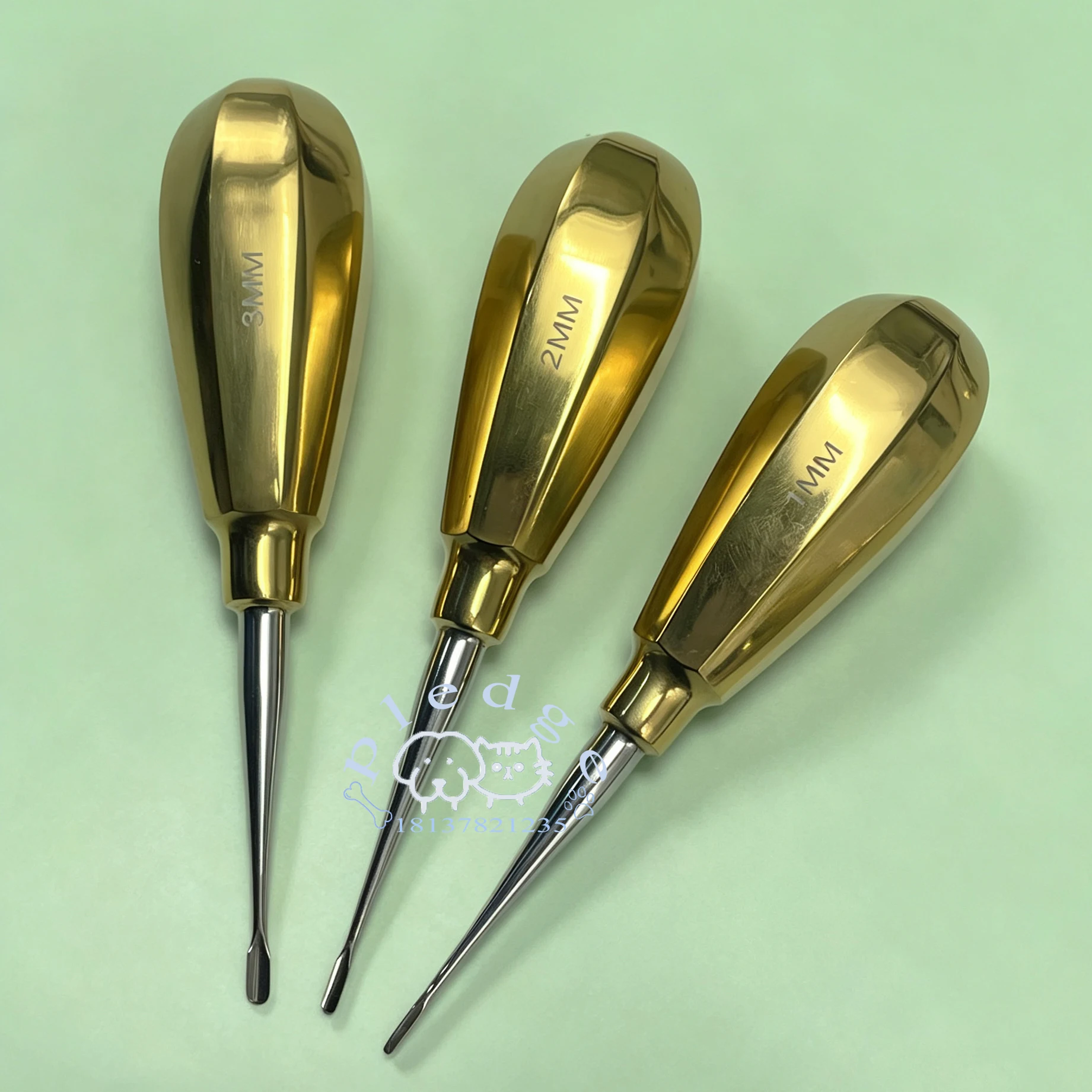 Veterinary Dental Instruments Set, Gold Plated Handle, Animal Teeth Extraction Kit for Dogs Cats, Dental Elevator & Mouth Gag