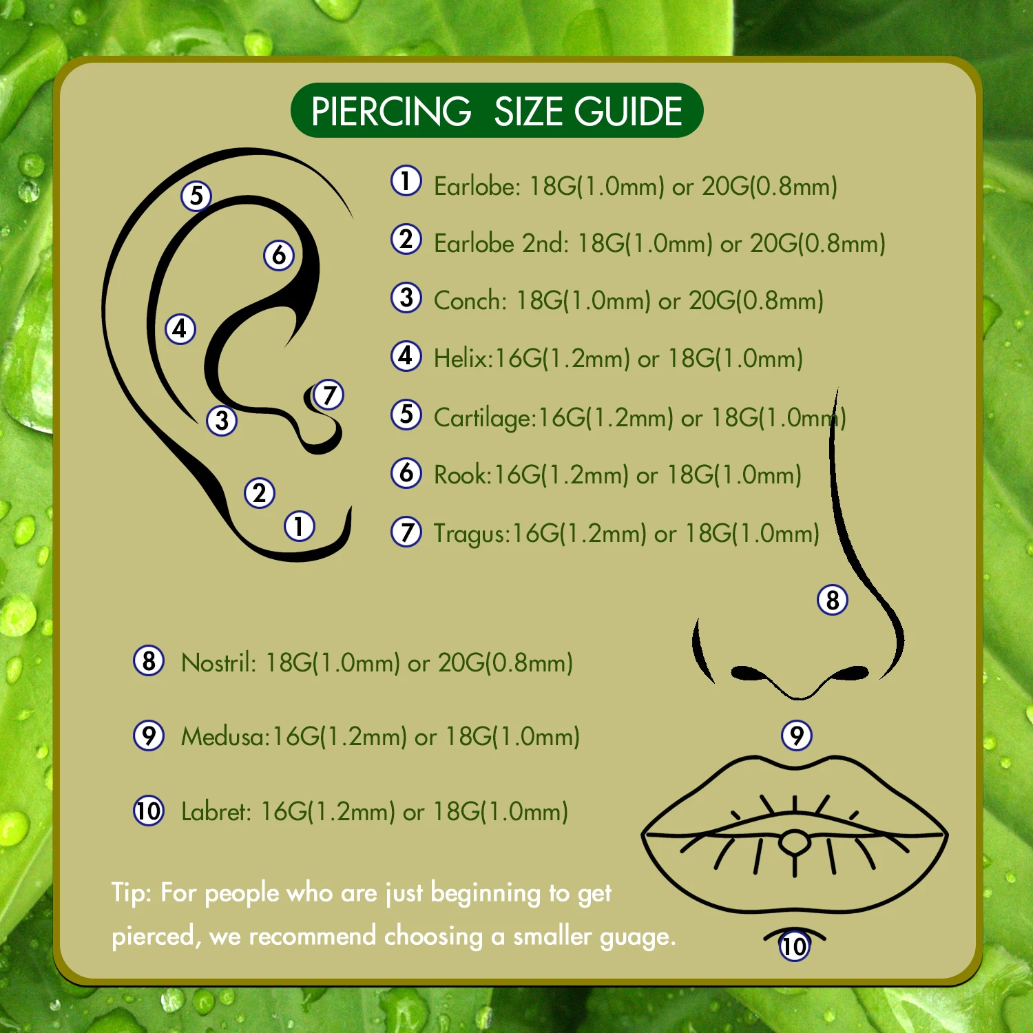 5 قطعة الفولاذ المقاوم للصدأ Threadless دفع في القرط الأنف مسمار الغضروف Labret الشفاه ثقب المجوهرات مع 1.5/2/2.5/3/4 مللي متر تشيكوسلوفاكيا 18 جرام 20 جرام