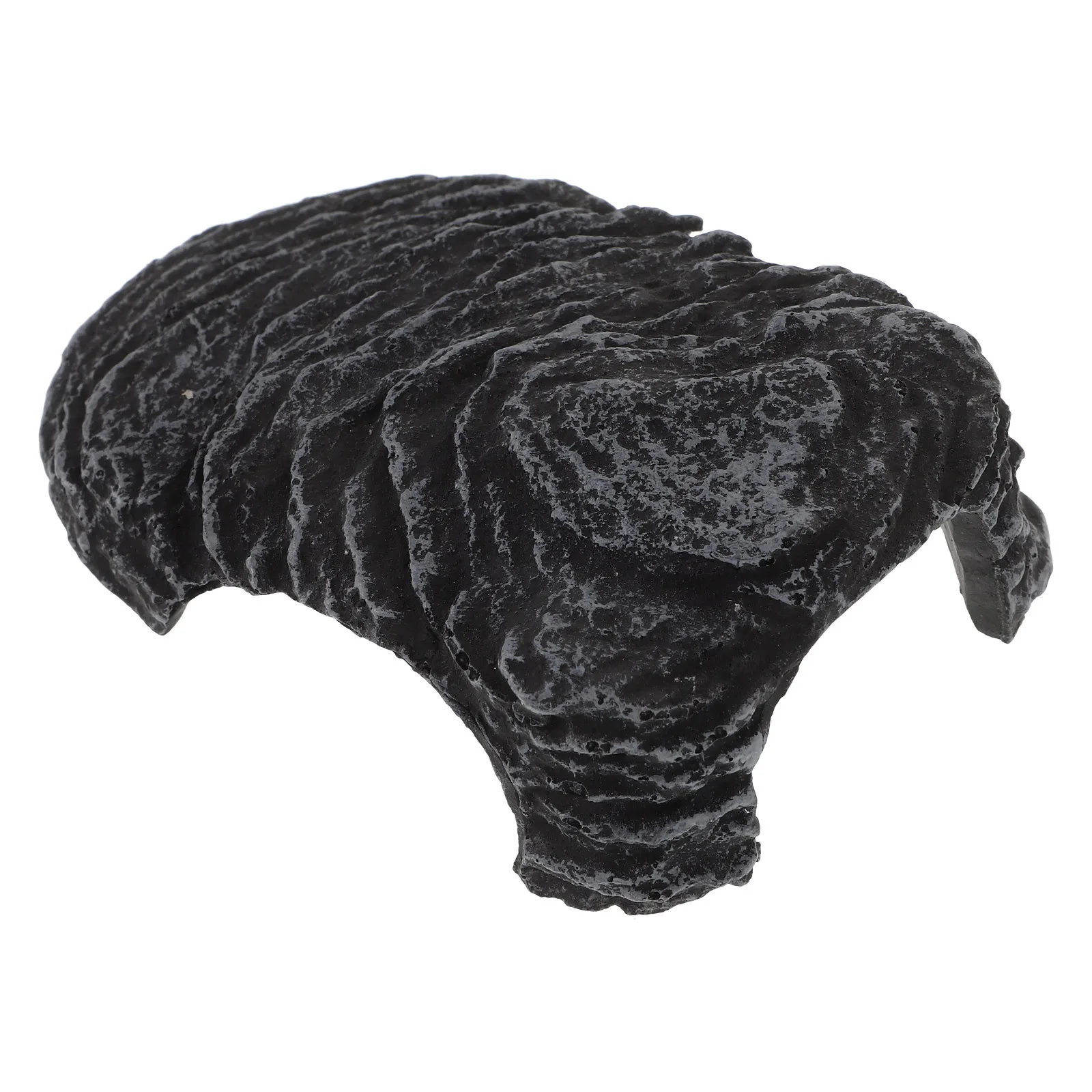 

Resin Turtle Basking Platform Tortoise Climbing Rockery Aquarium Ornament Reptile Playground Turtle Tank Supplies Habitat