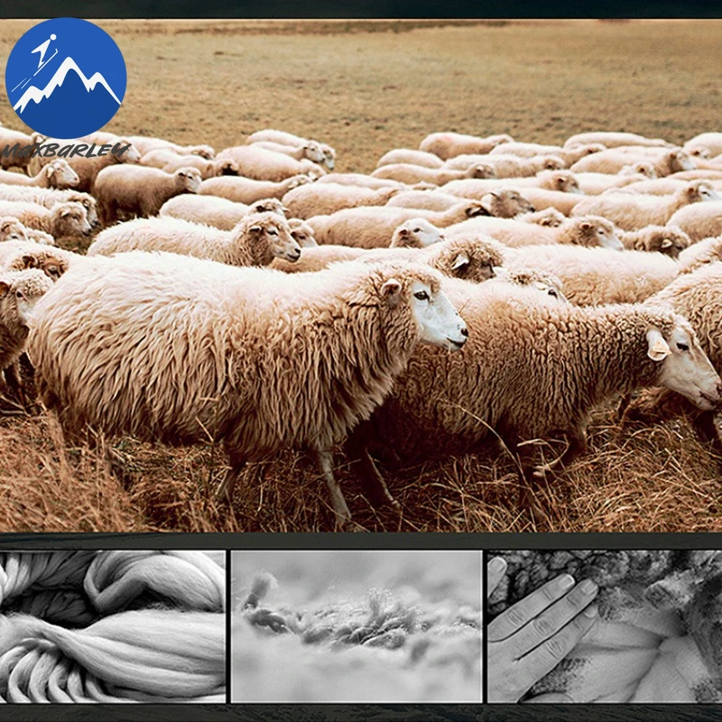 Maxbarley الفاخرة الصف معطف طويل للرجال خريف 2025 جديد الصوف يمزج معطف العلامة التجارية الذكور الملابس الشتوية معطف الكشمير الكورية رجل #4