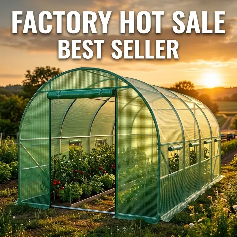 Galvanized Steel Tube Garden Tunnel Greenhouse for Agricultural Greenhouses