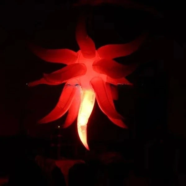 

Inflatable Curved Lights and Inflatable Sea Urchin Lights for Weddings and Parties