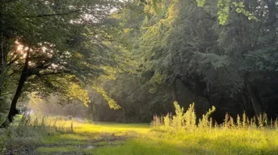 

4PCS Metal 1.9" Beadlock Wheel Rims 3 Style for 1:10 RC Crawler Car Axial SCX10 90046 TRX4 Redcat GEN8