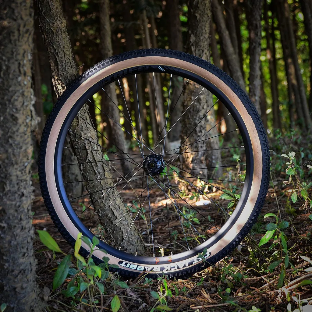 

Колесный комплект для MTB велосипеда 29 дюймов A/V Enduro DH, обод 25 мм, ступица 148 Boost, ось 142 Thru Axle, QR 135, 6 пальцев, спицованные колеса TRIFOX