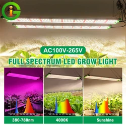 Luz LED de cultivo LM281B, lámpara Phyto de invernadero, 85W, 226Leds, sistema de cultivo hidropónico, planta de espectro completo, caja de tienda de plántulas de flores