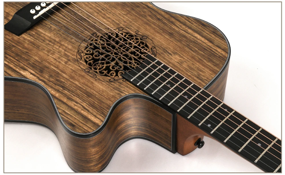 Electro Musical Instruments 40 Inch Cutaway Semi Acoustic Electric Guitar