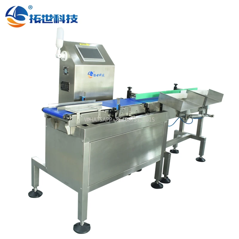 Macchina per lo smistamento di frutta e frutti di mare per pesci Trasportatore a alimentazione automatica Macchina per la classificazione del trasportatore a tavola rotante per alimentazione separata