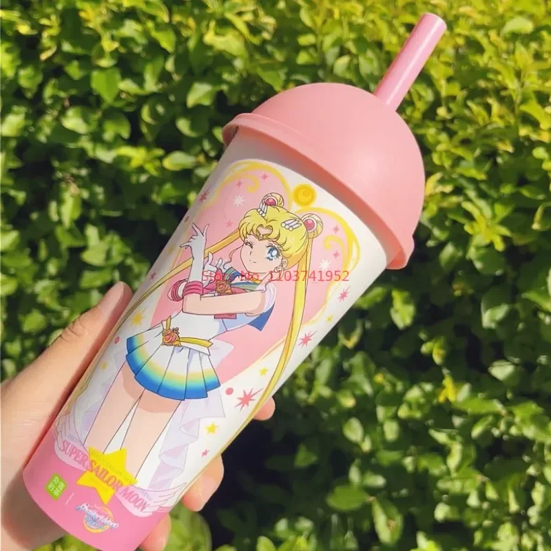 Hot Sale Beauty Girl Warrior Co Branded Cup Branded Color Changing Insulation Cup For Girlfriend Kids Surprise Gift